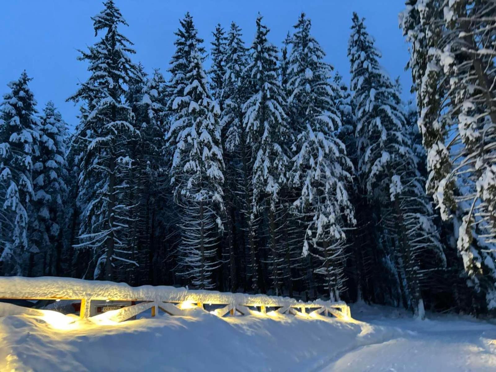 Хижа Чучулига Паничиште Экстерьер фото