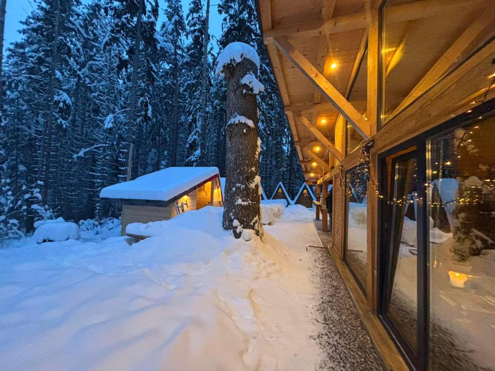 Хижа Чучулига Паничиште Экстерьер фото